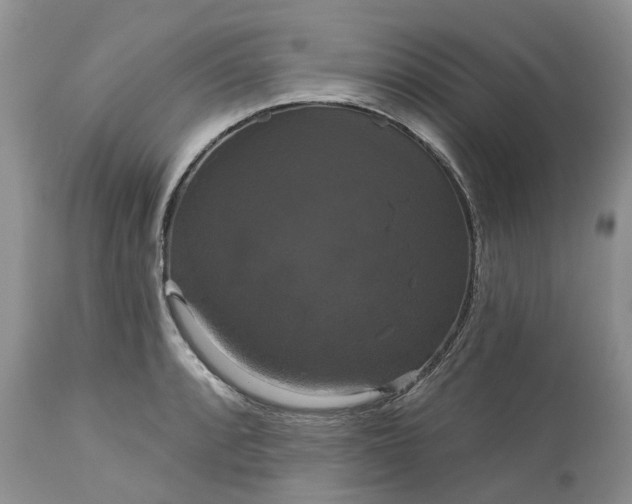 X0000113061088200909110908