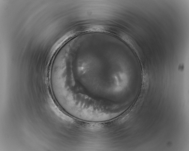 X0000113061090200909110908