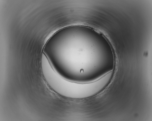X0000113061097200909110908