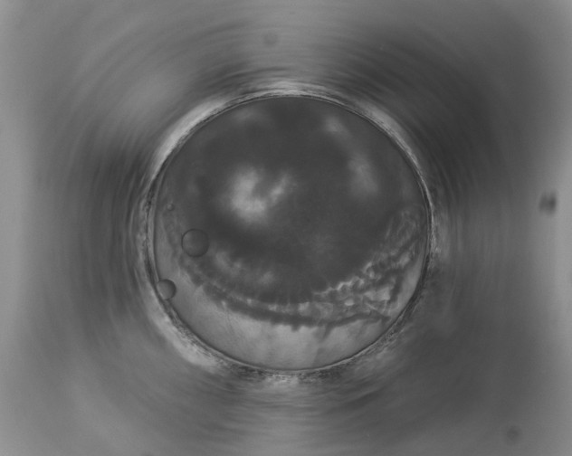 X0000113061098200909110908