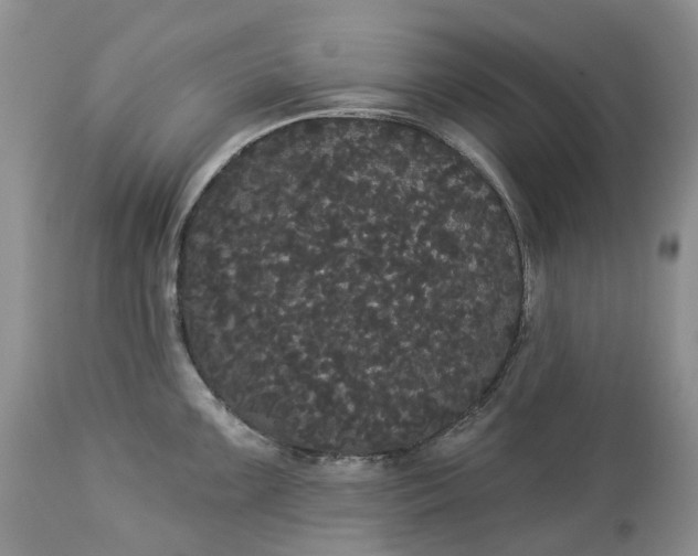 X0000113061099200909110908