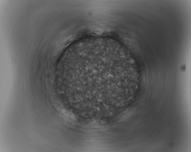 X0000113061105200909110907