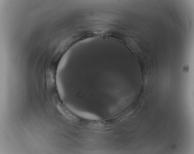X0000113061106200909110907