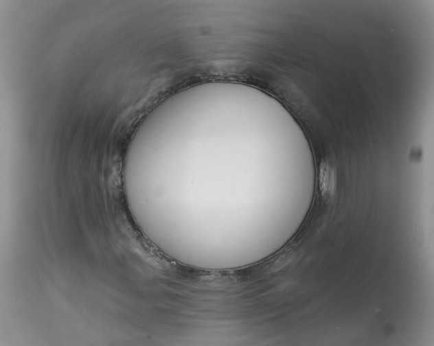X0000113061107200909110907