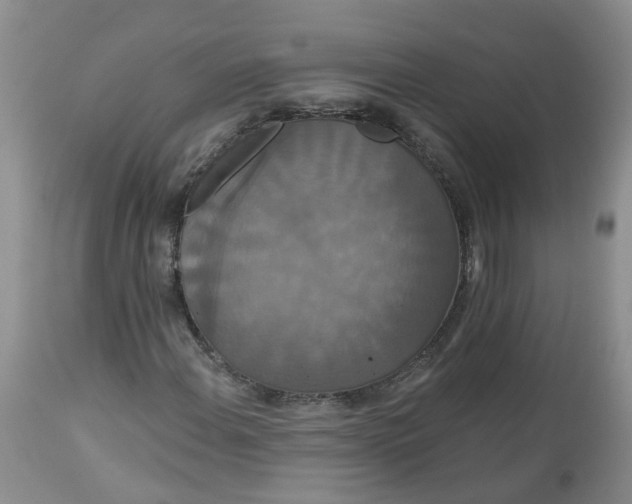 X0000113061108200909110907