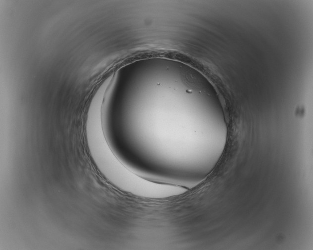 X0000113061110200909110907