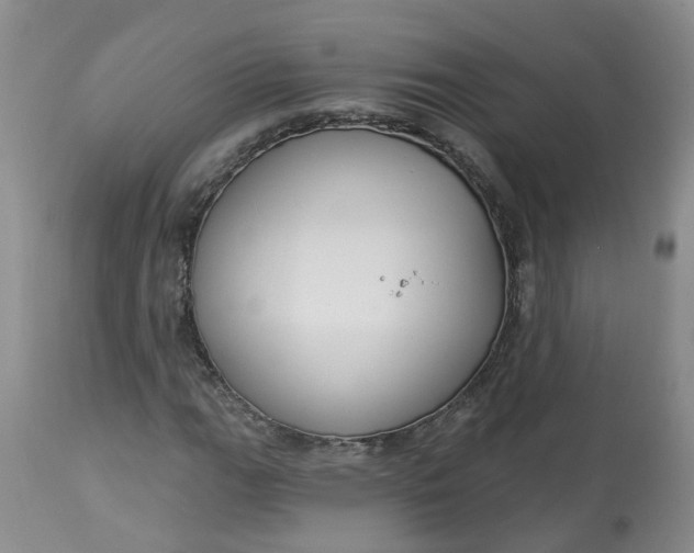 X0000113061111200909110907