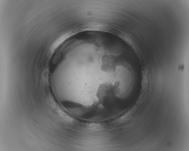 X0000113061114200909110907