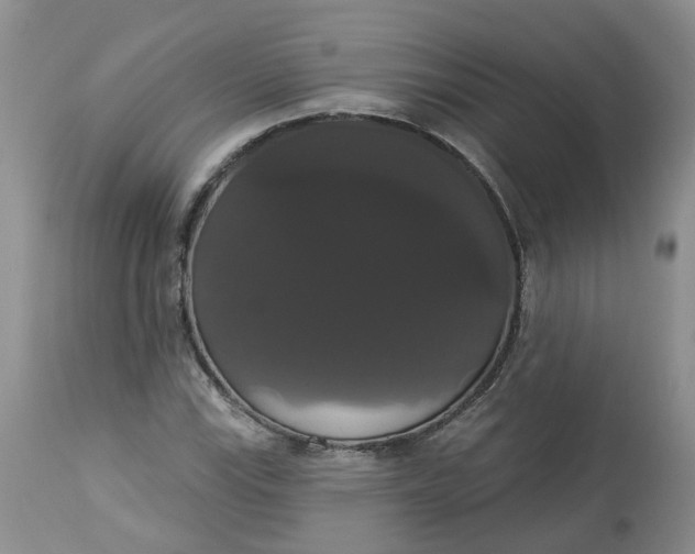 X0000113061115200909110907