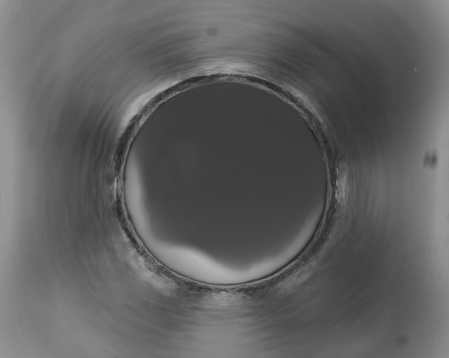 X0000113061117200909110907
