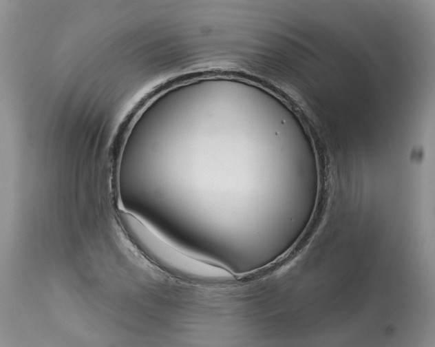 X0000113061118200909110907