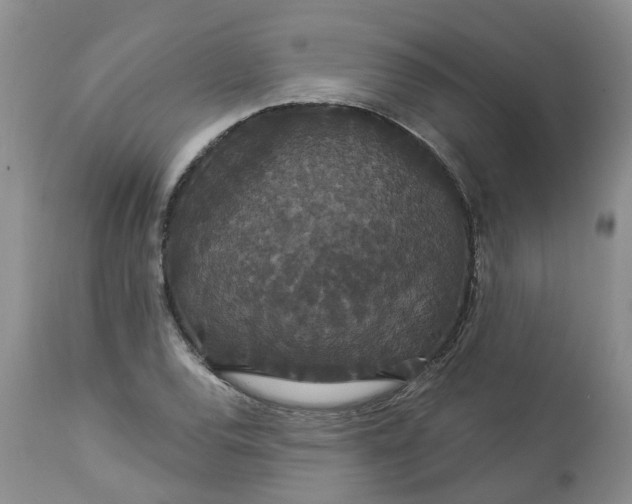 X0000113061120200909110907