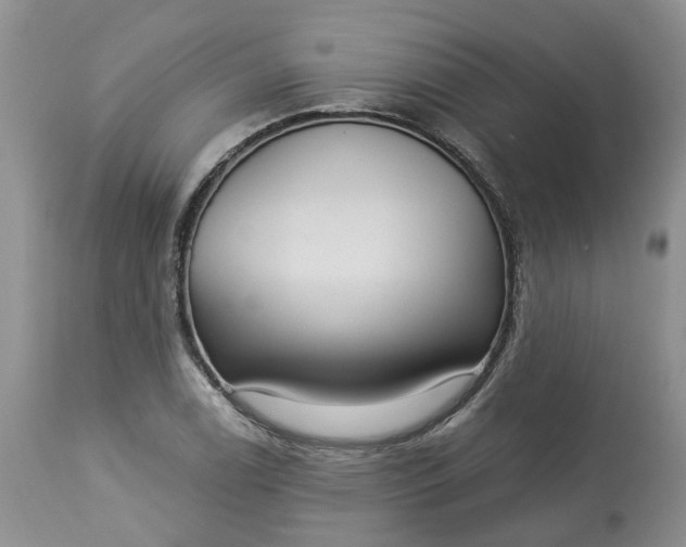 X0000113061122200909110908