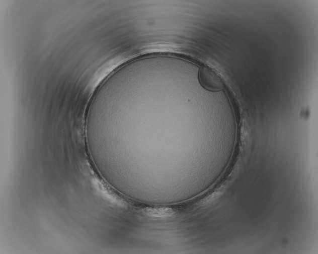 X0000113061129200909110908
