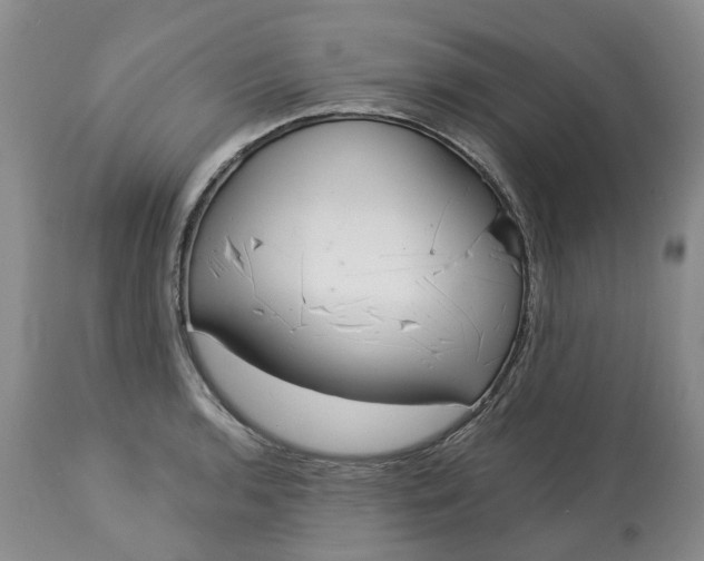 X0000113061136200909110908