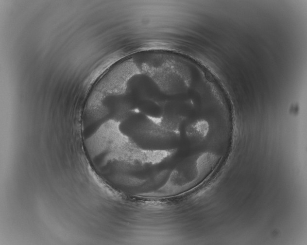 X0000113061137200909110908