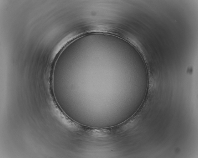 X0000113061138200909110908