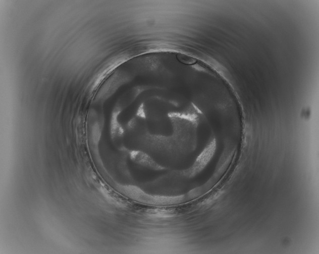 X0000113061145200909110908