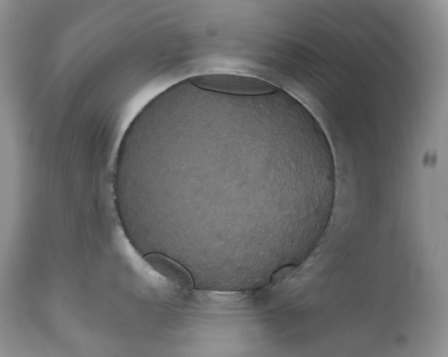 X0000113061152200909110908
