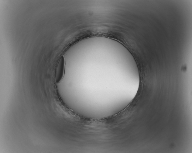 X0000113061153200909110907