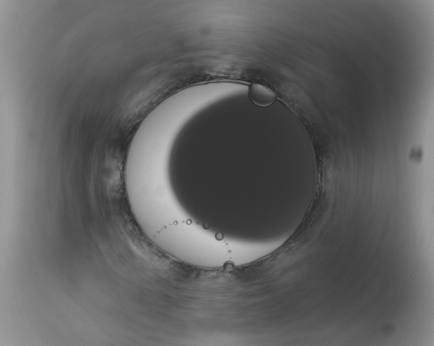 X0000113061154200909110907