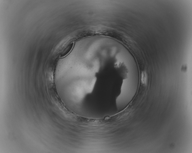 X0000113061155200909110907