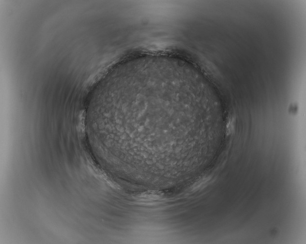 X0000113061156200909110907
