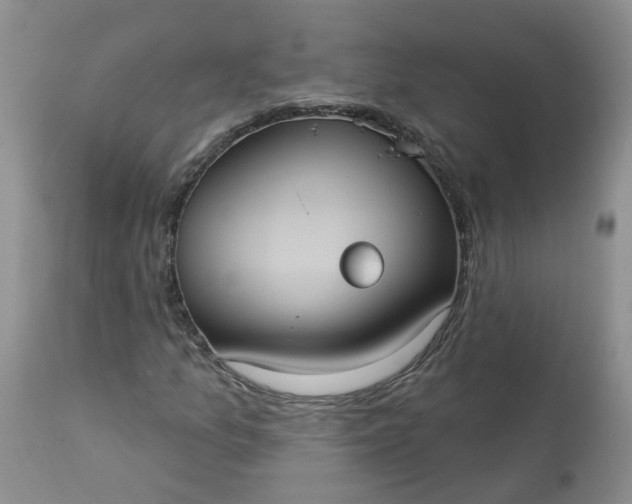 X0000113061157200909110907