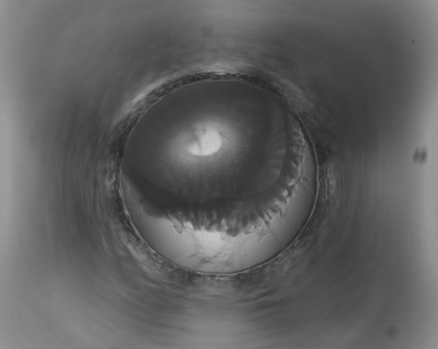 X0000113061158200909110907