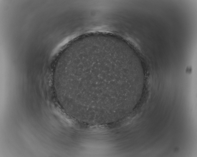 X0000113061159200909110907