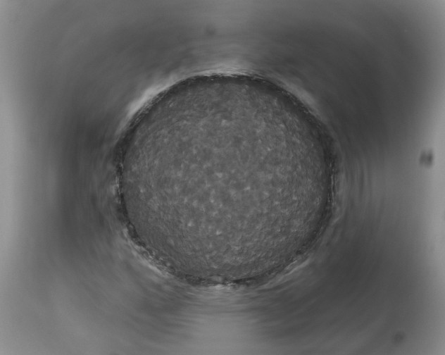 X0000113061160200909110907
