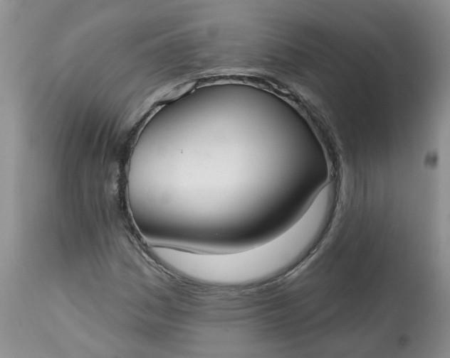 X0000113061161200909110907