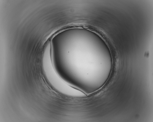 X0000113061162200909110907