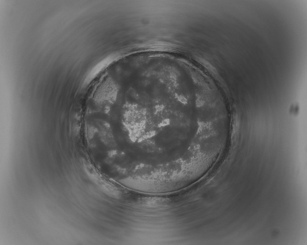 X0000113061163200909110907