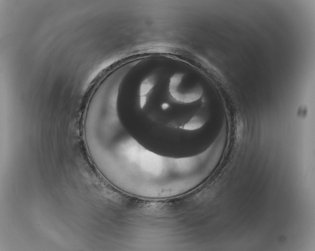 X0000113061166200909110907