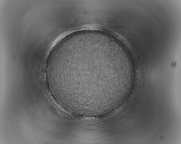 X0000113061168200909110907