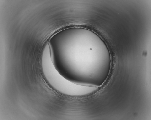 X0000113061169200909110907