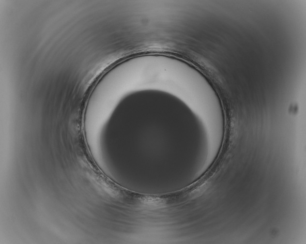 X0000113061170200909110907