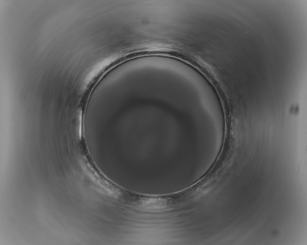 X0000113061171200909110907
