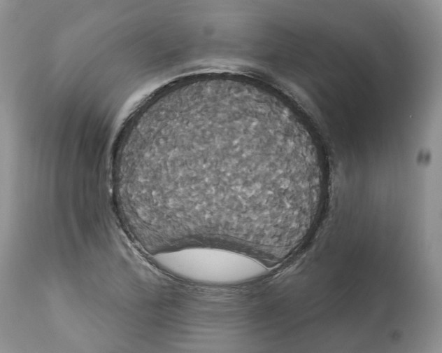 X0000113061172200909110907