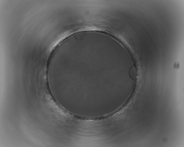 X0000113061173200909110907