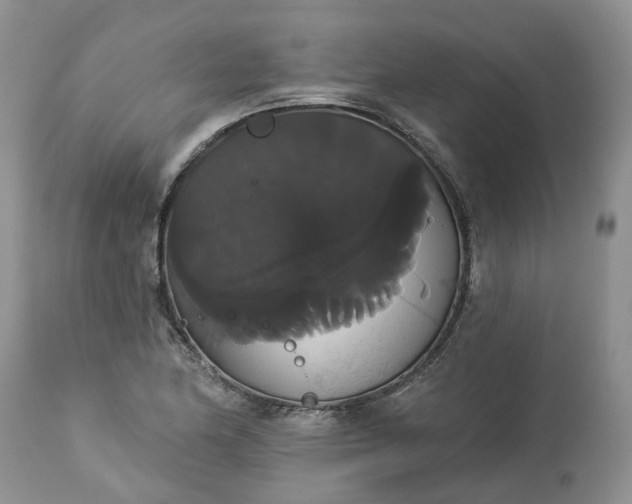 X0000113061174200909110907