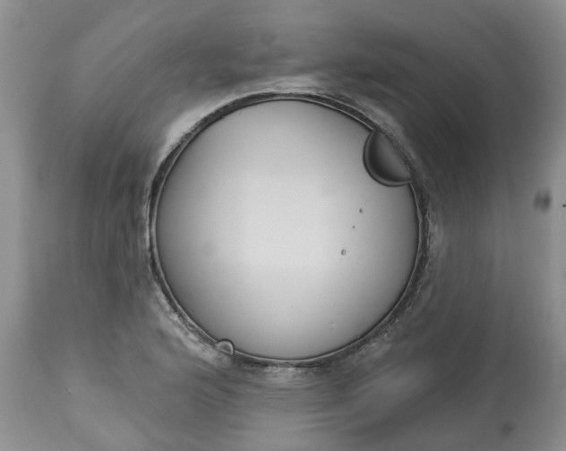 X0000113061176200909110907