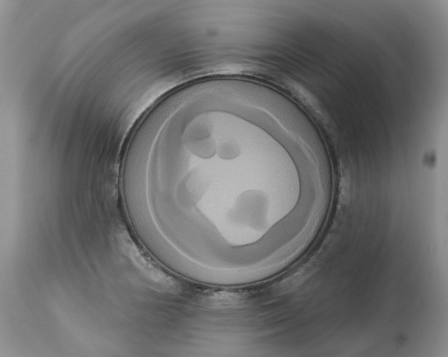 X0000113061178200909110907