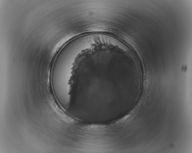 X0000113061179200909110907