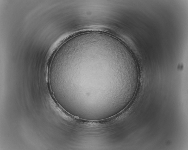 X0000113061180200909110907