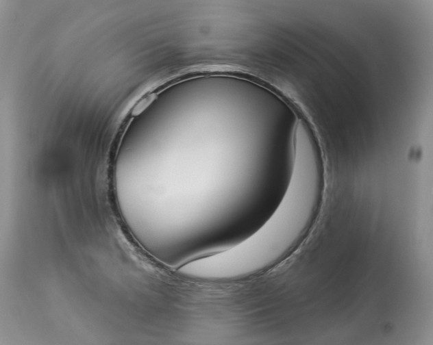 X0000113061181200909110907