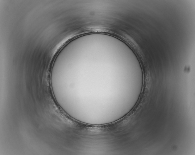 X0000113061182200909110907