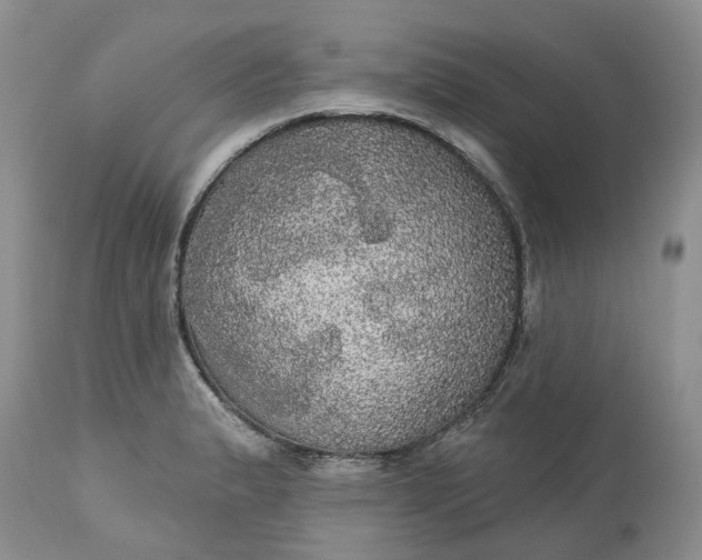 X0000113061183200909110907