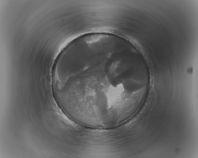 X0000113061184200909110907